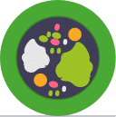Mealtime Management Kid Speak Speech Therapy Perth